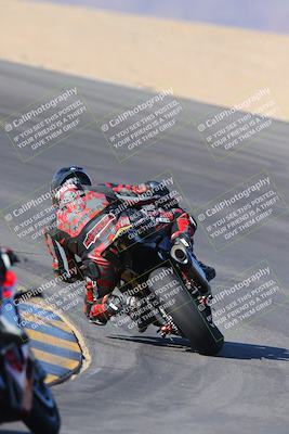 media/Nov-12-2023-SoCal Trackdays (Sun) [[5d1fba4e7d]]/Turn 10 Backside (115pm)/